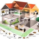 Home Pest Control