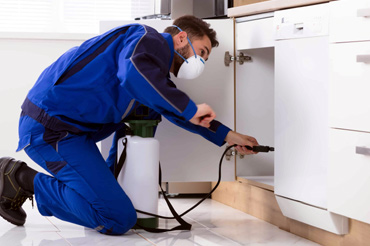 Pest Control Dwarka New Delhi